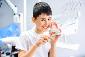 a child brushing a model of fake teeth